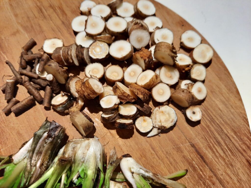 Löwenzahnwurzeln zerkleinert