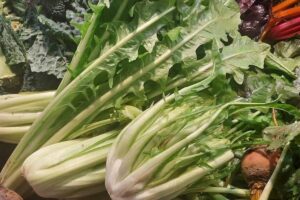 Großer Löwenzahn (Catalogna): italienisches Gemüse mit Rezept-Titelbild